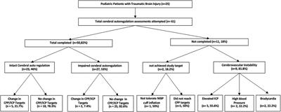 Experience with clinical cerebral autoregulation testing in children hospitalized with traumatic brain injury: Translating research to bedside